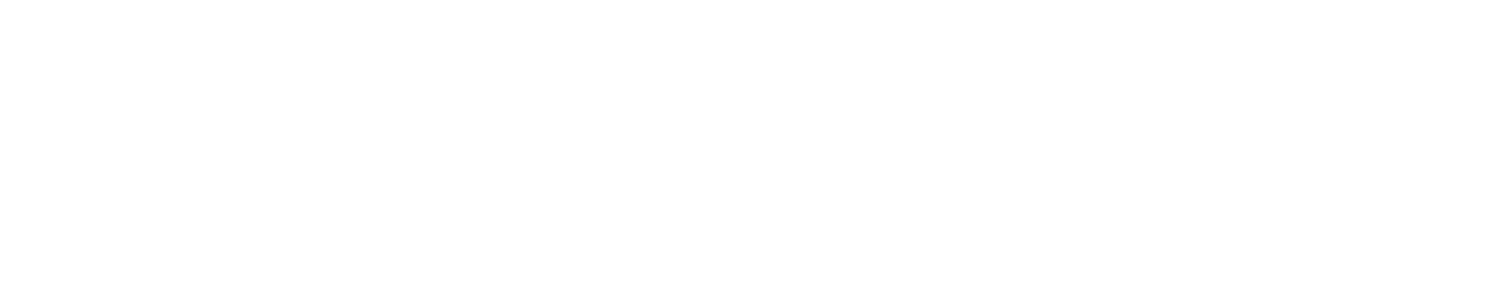 Intelic BASE